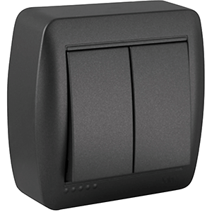 DOBLE CONMUTADOR/INTERRUP. DE SUPERF. NG